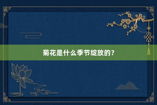 菊花是什么季节绽放的？