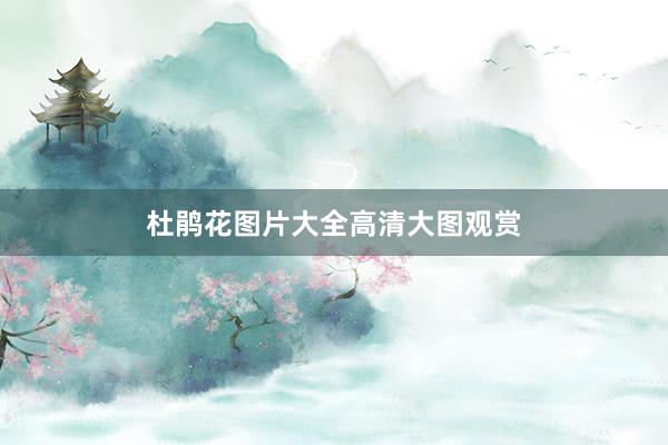杜鹃花图片大全高清大图观赏