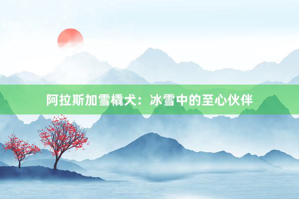 阿拉斯加雪橇犬：冰雪中的至心伙伴