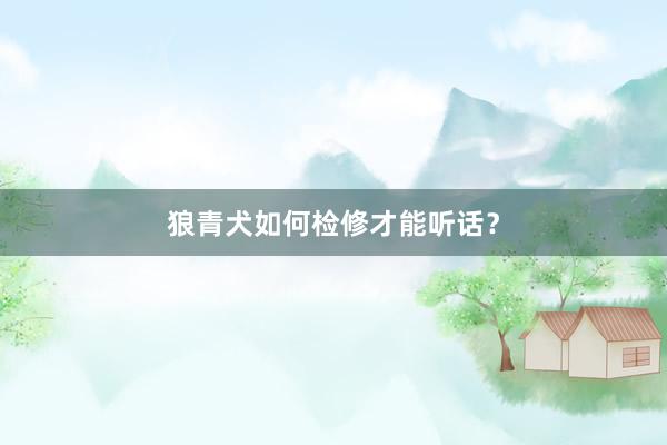 狼青犬如何检修才能听话?